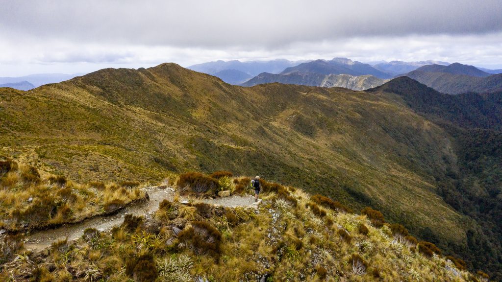 Paparoa-Track-CREDIT-Jase-Blair