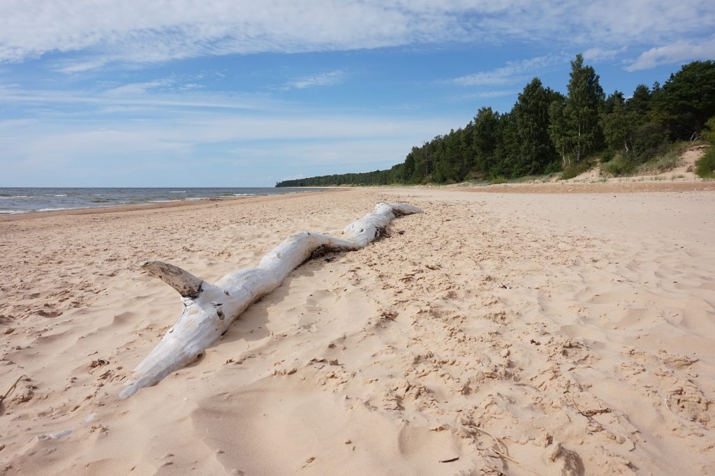 Baltic Sea Riga Latvia Edgars Koronevskis 