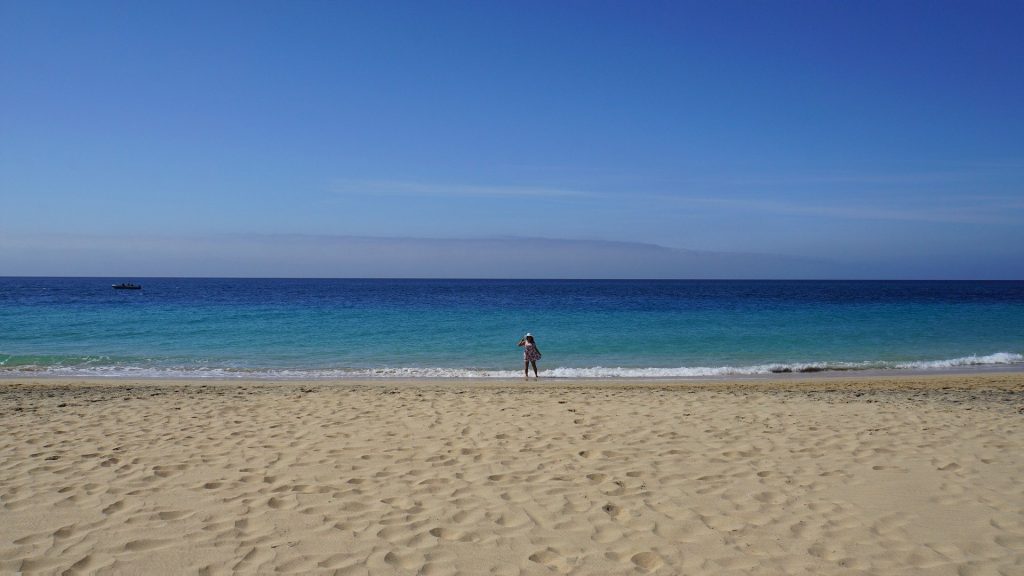 Beach -  Fuerteventura