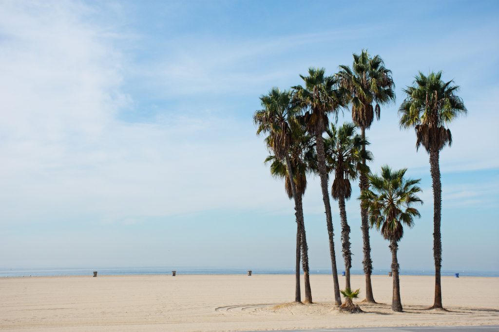 Santa Monica Beach, LA, CA