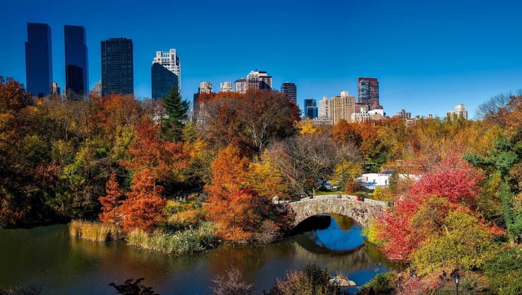 Central Park - New York City - USA